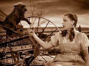 Dorothy in Kansas with Toto